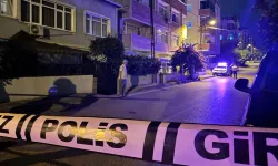 Sokak ortasında kadın cinayeti: Satırla boğazını kesti