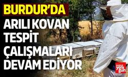 Burdur’da Arılı Kovan Tespit Çalışmaları Devam Ediyor