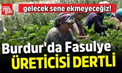 Burdur'da Fasulye Üreticisi Dertli