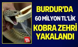 Burdur’da 60 milyon TL’lik kobra zehri yakalandı