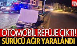 Refüje çıkan otomobil sürücüsü yaralandı