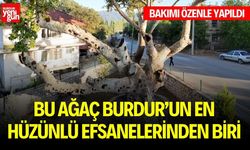 Bu Ağaç Burdur'un En Hüzünlü Ağaçlarından Biri