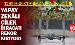 Yapay zeka destekli topraksız serada üretilen çilek 7 ülkeye ihraç edildi