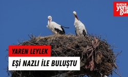 Yaren Leylek eşi Nazlı'yla buluştu
