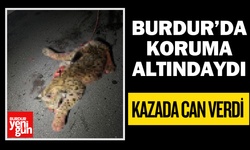 Burdur’da Koruma Altındaydı, Kazada Can Verdi
