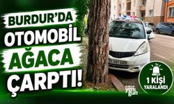 BURDUR’DA OTOMOBİL AĞACA ÇARPTI: 1 KİŞİ YARALANDI