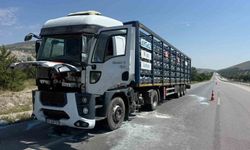 Afyonkarahisar'da Aygaz marka tüp yüklü tırın motorunda yangın