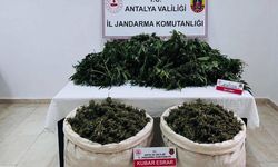 Antalya'da uyuşturucu operasyonunda 11 kilo 100 gram kubar esrar ele geçirildi