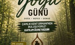 Denizli, Dünya Yoga Gününde Çamlık'ta buluşacak