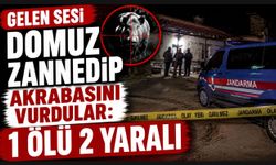 GELEN SESİ DOMUZ ZANNEDİP AKRABASINI VURDULAR:1 ÖLÜ 2 YARALI