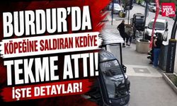 Köpeğine Saldıran Kediye Tekme Attı, O Anlar Kamerada