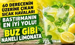 40 derecenin üzerine çıkan sıcak havaları bastırmanın en iyi yolu! Buz gibi naneli limonata
