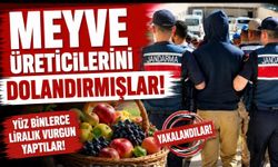 MEYVE ÜRETİCİLERİNİ DOLANDIRMIŞLAR!