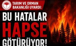 Orman Yangınlarında Ağır Cezalar Kapıda
