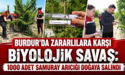 BURDUR’DA 1000 ADET SAMURAY ARICIĞI DOĞAYA SALINDI