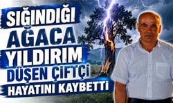 Sığındığı ağaca yıldırım düşen çiftçi hayatını kaybetti