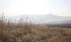 Antalya'da çıkan anız yangını kontrol altına alındı
