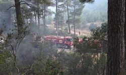 Antalya'da ormanlık alanda çıkan yangına müdahale ediliyor