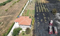 Antalya'da otluk alanda çıkan yangın villanın bahçesi ve tekneye zarar verdi