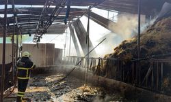 Burdur'da ahırda çıkan yangın söndürüldü