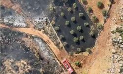 Antalya'da ormanlık alanı tehdit eden yangın