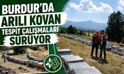 Burdur'da arılı kovan tespit çalışmaları sürüyor