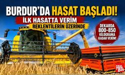 Burdur'da Hasat Başladı! İlk Hasatta Verim Beklentilerin Üzerinde