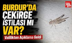 Burdur'da Çekirge İstilası mı Var? Valilikten Açıklama Geldi