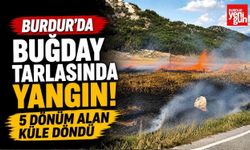 Burdur'da Buğday Tarlasında Yangın! 5 Dönüm Alan Küle Döndü