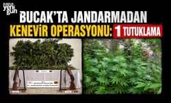 Burdur'da Jandarmadan Kenevir Operasyonu: 1 Tutuklama