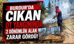 Burdur'da çıkan ot yangınında 2 dönümlük alan zarar gördü