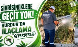 Sivrisineklere Geçit Yok: Burdur'da İlaçlama Çalışmaları Aralıksız Sürüyor
