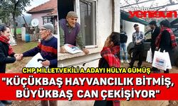 CHP Milletvekili A.Adayı Hülya Gümüş: "Küçükbaş bitmiş, Büyükbaş Hayvancılık Can Çekişiyor"