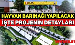 Bucak'a 'hayvan barınağı' İşte; projenin detayları