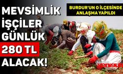 Mevsimlik işçi günlük 280 TL alacak!