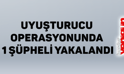 Uyuşturucu operasyonunda 1 şüpheli yakalandı