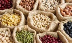 Vegan olmak sağlığa yararlı mı?