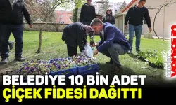 Belediye 10 bin çiçek fidesi dağıttı