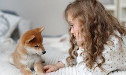 Kedi veya köpeklerle birlikte yaşamak çocukların gıda alerjisi riskini azaltabilir