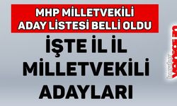 İl İl MHP Milletvekili Adayları