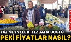 Yaz Meyveleri Tezgaha Düştü