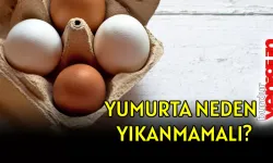 Yumurta neden yıkanmamalı?