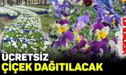 Burdur Belediyesi ücretsiz çiçek dağıtacak