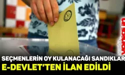 Seçmenlerin oy kullanacağı sandıklar e-Devlet'ten ilan edildi