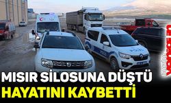 Mısır silosuna düşen işçi hayatını kaybetti