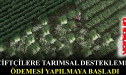 Çiftçilere yaklaşık 1,4 milyar liralık tarımsal destekleme ödemesi yapılmaya başladı
