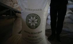 Türkşeker'in stokları aşırı fiyat hareketlerine karşı hazır