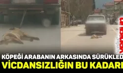 Köpeğin otomobilin arkasında sürüklenmesine tepki