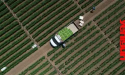 Çiftçilere yaklaşık 1,3 milyar liralık tarımsal destekleme ödemesi bugün yapılıyor