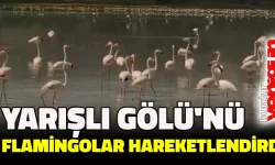 Burdur'daki Yarışlı Gölü'nü flamingolar hareketlendirdi